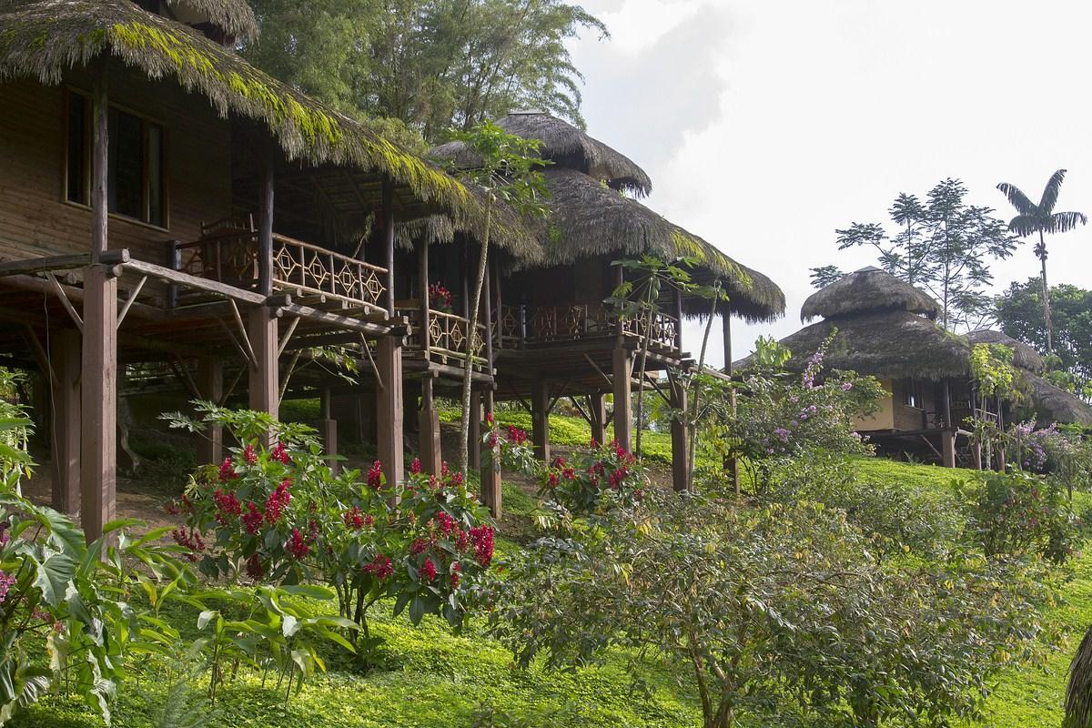 Arasha Resort & Spa Pedro Vicente Maldonado Exterior foto